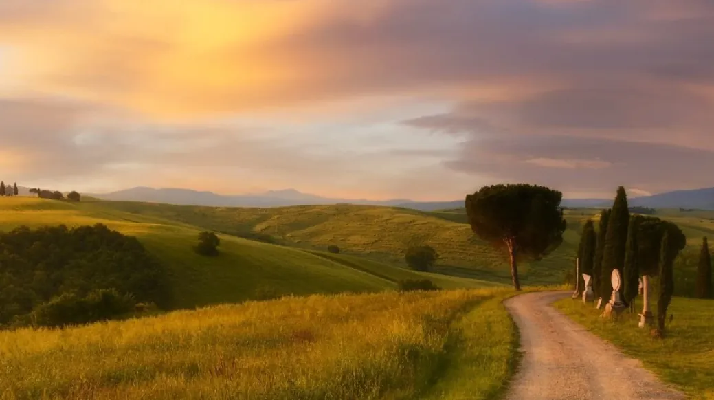 Campagna romana al tramonto, con una strada bianca tra i campi e i pini